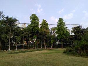 YU-Yuphoria-camera-sample3