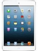 Apple iPad mini 16GB CDMA Review