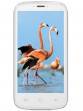 Celkon - A119+Signature+HD Pictures