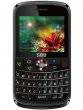 (SBB)Q10 Pictures 